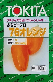 【種子】フルーツピーマン ぷちピープロ 76 オレンジ トキタ種苗のタネ
