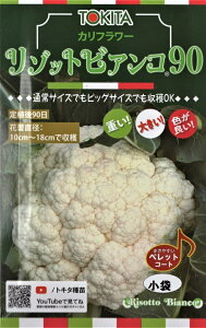 ��؎�q �J���t�����[ ���]�b�g�r�A���R90 �g�L�^��c�̃^�l