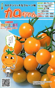 ��؎�q �~�j�g�}�g �J������� �g�L�^��c�̃^�l