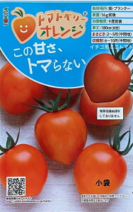 ؎q g}gx[ IW gL^c̃^l