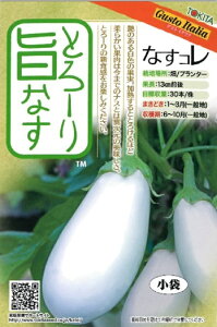 ؎q Gusto Italia ȂR Ƃ[|Ȃ gL^c̃^l