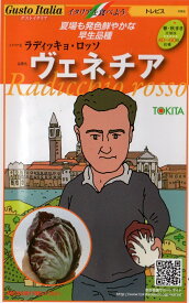 【種子】Gusto Italiaトレビスラディッキョ・ロッソヴェネチアトキタ種苗のタネ