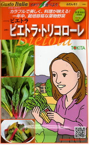 ؎q Gusto Italia ӂ񂻂 rGgEgR[ gL^c̃^l