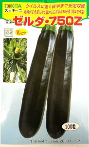 ��؎�q �Y�b�L�[�j �[���_�E750Z 100�� �g�L�^��c�̃^�l