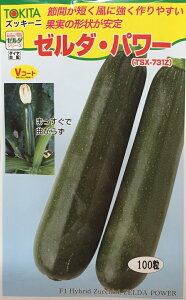 ؎q YbL[j [_Ep[(TSX-731Z) 100 gL^c̃^l