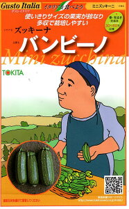 ��؎�q Gusto Italia�Y�b�L�[�i �o���r�[�m�g�L�^��c�̃^�l