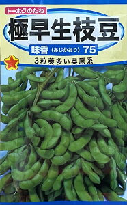 ��؎�q �ɑ����}�� ����75 �g�[�z�N�̃^�l