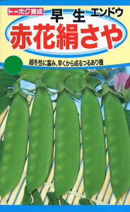 ��؎�q �G���h�E ���� �ԉԌ����� �g�[�z�N�̃^�l