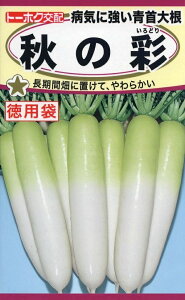 yqzaCɋ卪 H̍ p g[zÑ^l