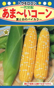 ��؎�q �g�E�����R�V ���܁[���R�[���i�o�C�J���[�j�g�[�z�N�̃^�l