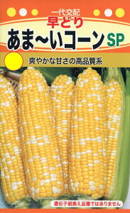 ��؎�q �g�E�����R�V ���ǂ� ���܁`���R�[��SP �g�[�z�N�̃^�l