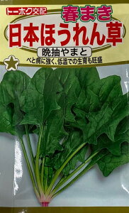 ��؎�q �t�܂� ���{�ق���� �Ӓ���܂� �g�[�z�N�̃^�l