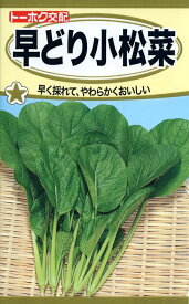 【種子】早どり小松菜 トーホクのタネ