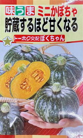 【種子】貯蔵するほど甘くなるミニかぼちゃ ぼくちゃん トーホクのタネ
