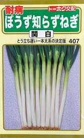 野菜種子 耐病ぼうず知らずねぎ 関白 トーホクのタネ