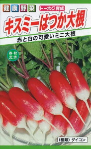 yqzLX~[͂卪 g[zÑ^l