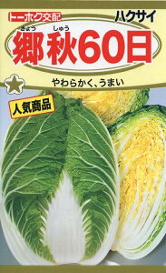 yqznNTC H60 g[zÑ^l