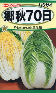 yqznNTC H70 g[zÑ^l