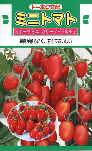 ؎q ~jg}g XC[c~j J[mEh`F g[zÑ^l