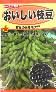 ��؎�q ���������}�� �g�[�z�N�̃^�l