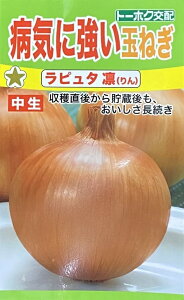 yqzaCɋʂ˂ s^ zij g[zÑ^l