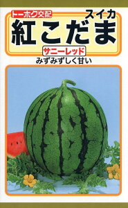 ��؎�q �g�����܃X�C�J �T�j�[���b�h �g�[�z�N�̃^�l