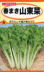 ��؎�q �t�܂��R���� �g�[�z�N�̃^�l