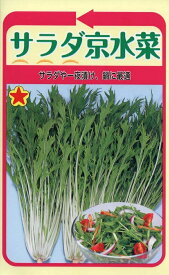 【種子】サラダ京水菜 トーホクのタネ