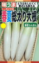 【種子】春夏総太り大根 春夏らんまん トーホクのタネ