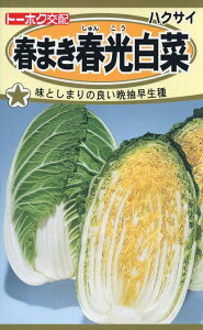 ��؎�q �t�܂��t������ �g�[�z�N�̃^�l