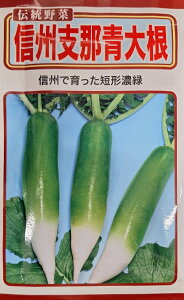 yqz` MBxߐ卪 g[zÑ^l