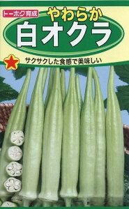 ؎q 炩 IN g[zÑ^l _ѐYȓo^i io^ԍ 23758 o^g[zN1