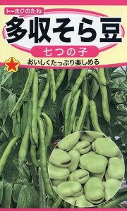 ؎q 瓤 ̎q g[zÑ^l