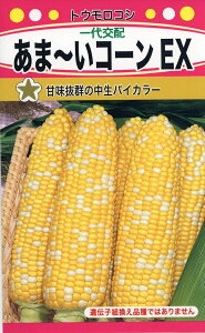 ��؎�q �g�E�����R�V ���܁`���R�[��EX �g�[�z�N�̃^�l