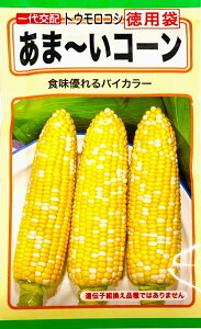 ��؎�q ����z�g�E�����R�V ���܁`���R�[�� ���p�� �g�[�z�N�̃^�l