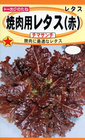 【種子】焼肉用レタス（赤）チマサンチ トーホクのタネ