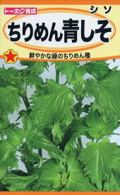 野菜種子 ちりめん 青しそトーホクのタネ