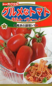 【種子】グルメなトマト モルト・ヴォーノ トーホクのタネ