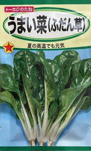 ؎q ܂؁iӂ񑐁jg[zÑ^l