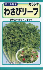 【種子】わさびリーフ トーホクのタネ