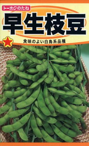 ��؎�q �����}�� �g�[�z�N�̃^�l