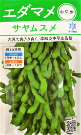 【種子】枝豆（えだまめ） サヤムスメ 小袋 雪印種苗のタネ