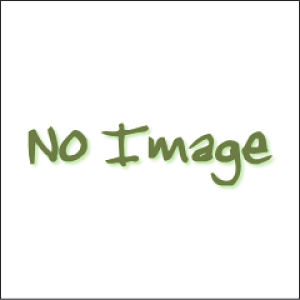 観葉植物 マジッククリスタルの人気商品 通販 価格比較 価格 Com