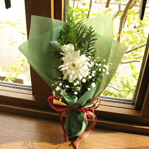 X'masɑ遙oƃK[x̃~jԑinjNX}X t[ o  t[Mtg NX}Xv[g Mtg v[g