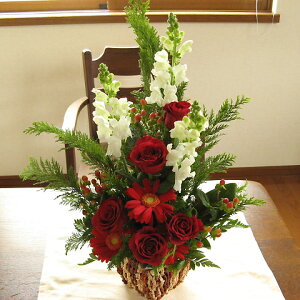 X'masɑ遙؂₩ȐԌnAWgiԂjType-B XNGAoXPbgNX}X t[ o  t[Mtg NX}Xv[g Mtg v[g