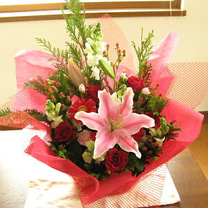 X'masɑ遙؂₩ȐԌnAWgiԂjType-CNX}X t[ o  t[Mtg NX}Xv[g Mtg v[g