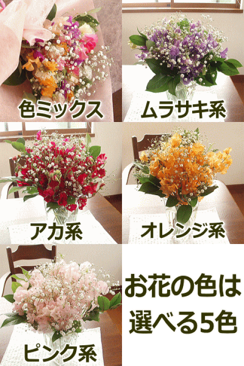 楽天市場】スイートピーとカスミソウのふんわり花束（スイートピー30本