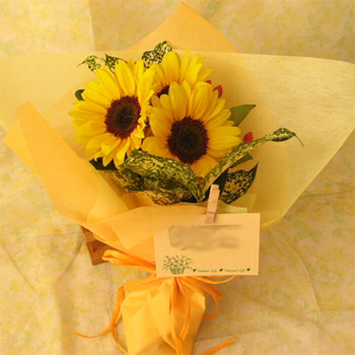 楽天市場 送料 クール便代金込み かわいいヒマワリのミニブーケ お届けは9月10日まで ひまわり 誕生日 父の日 フラワーギフト 花 誕生祝い お中元 暑中お見舞い 残暑見舞い フラワーショップ アイビーベリー