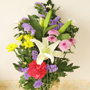 z[t[p̐؉ԕ܁i1,500~R[XjEʏwi1̂݁juʏwvuw葱ցvuJSɓvIEuwvuw