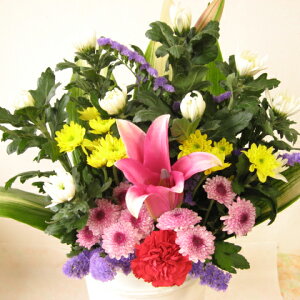 z[t[p̐؉ԕ܁i3,000~R[XjEʏwi1̂݁juʏwvuw葱ցvuJSɓvIEuwvuw